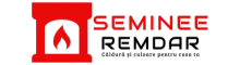 seminee-remdar-logo.png